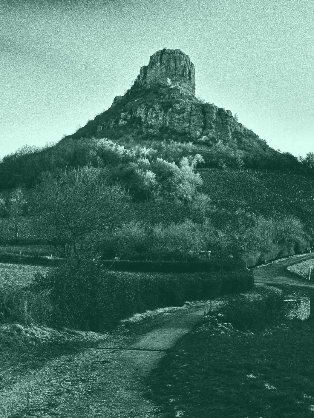 La Roche de Solutré dans la lumière du soir, au-dessus des vignes.