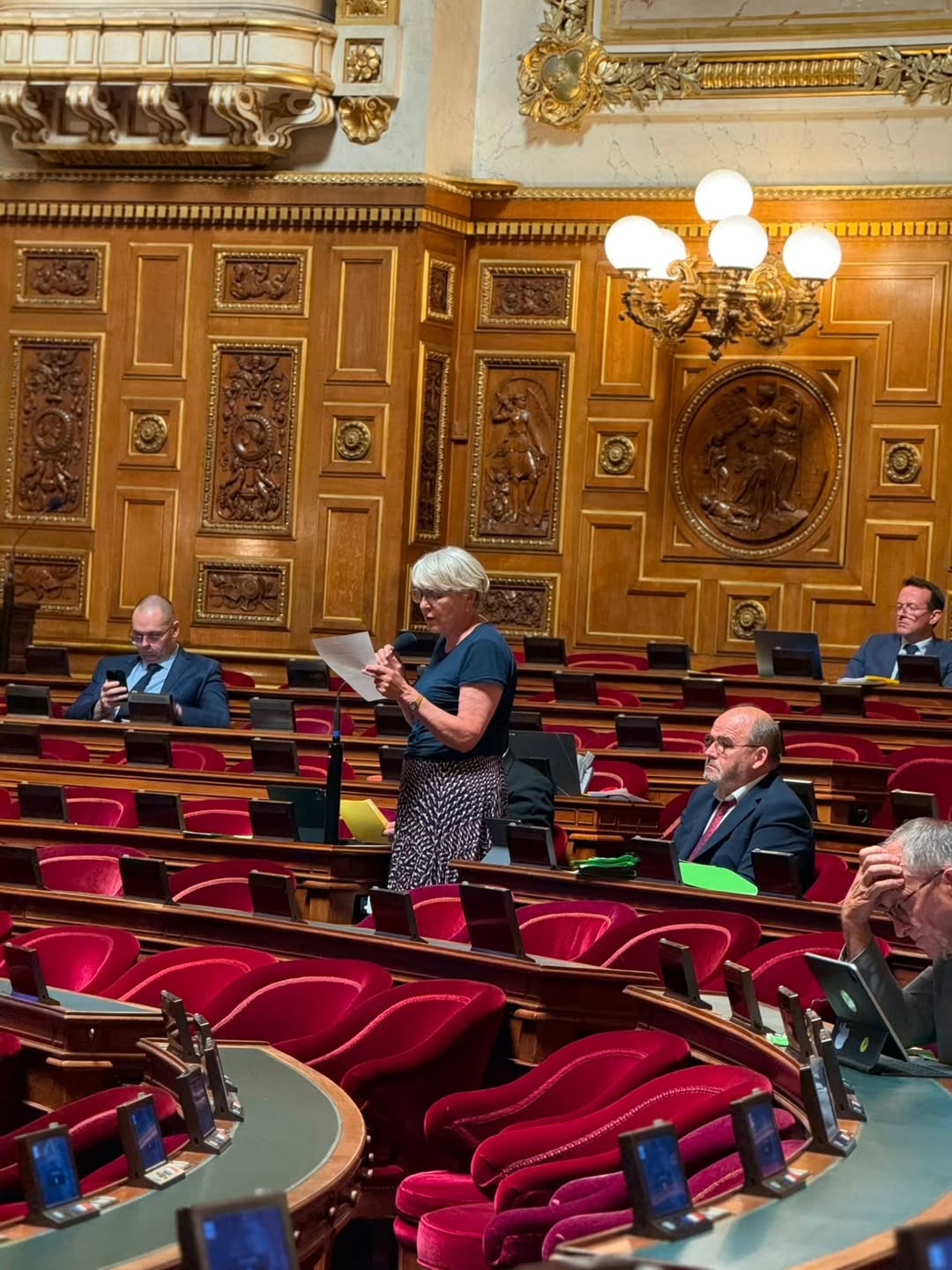 Paulette Matray debout dans l’hémicycle du Sénat, prenant la parole au micro, une feuille à la main, entourée de sénateurs assis