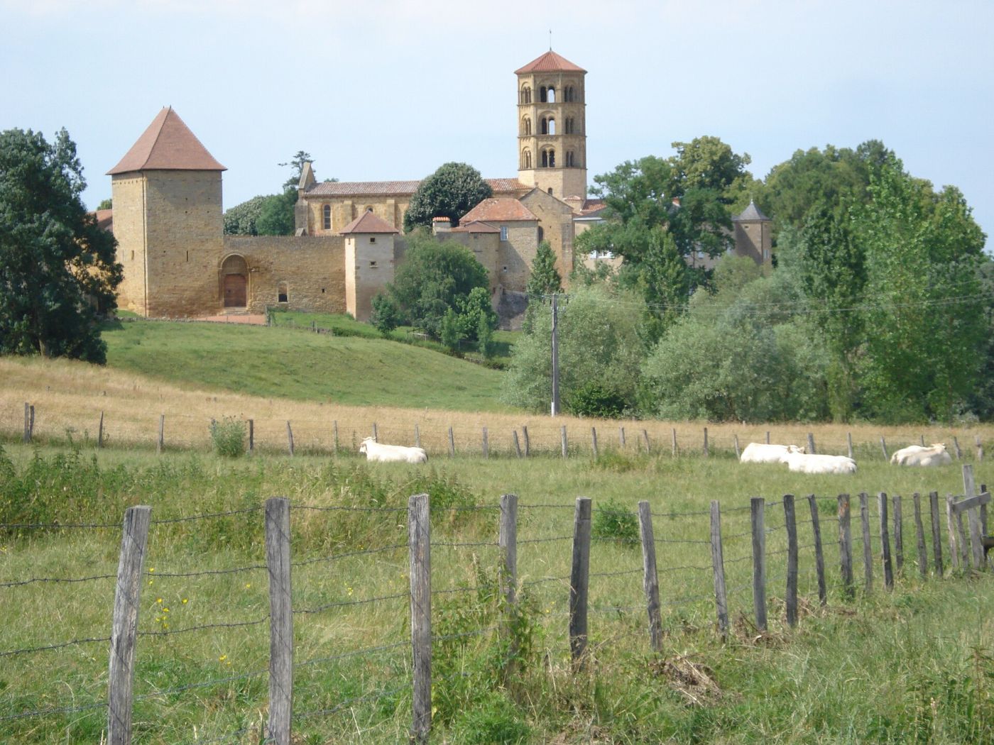 Le prieuré d’Anzy-le-Duc et son clocher roman, au-dessus d’un pré où paissent des vaches charolaises